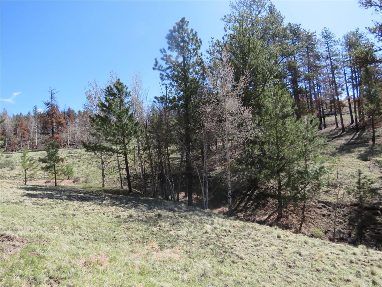 238 Chateau West Drive - Photo 1