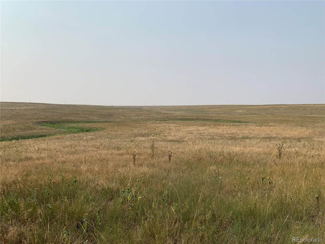 39115 County Road 166 - Photo 1