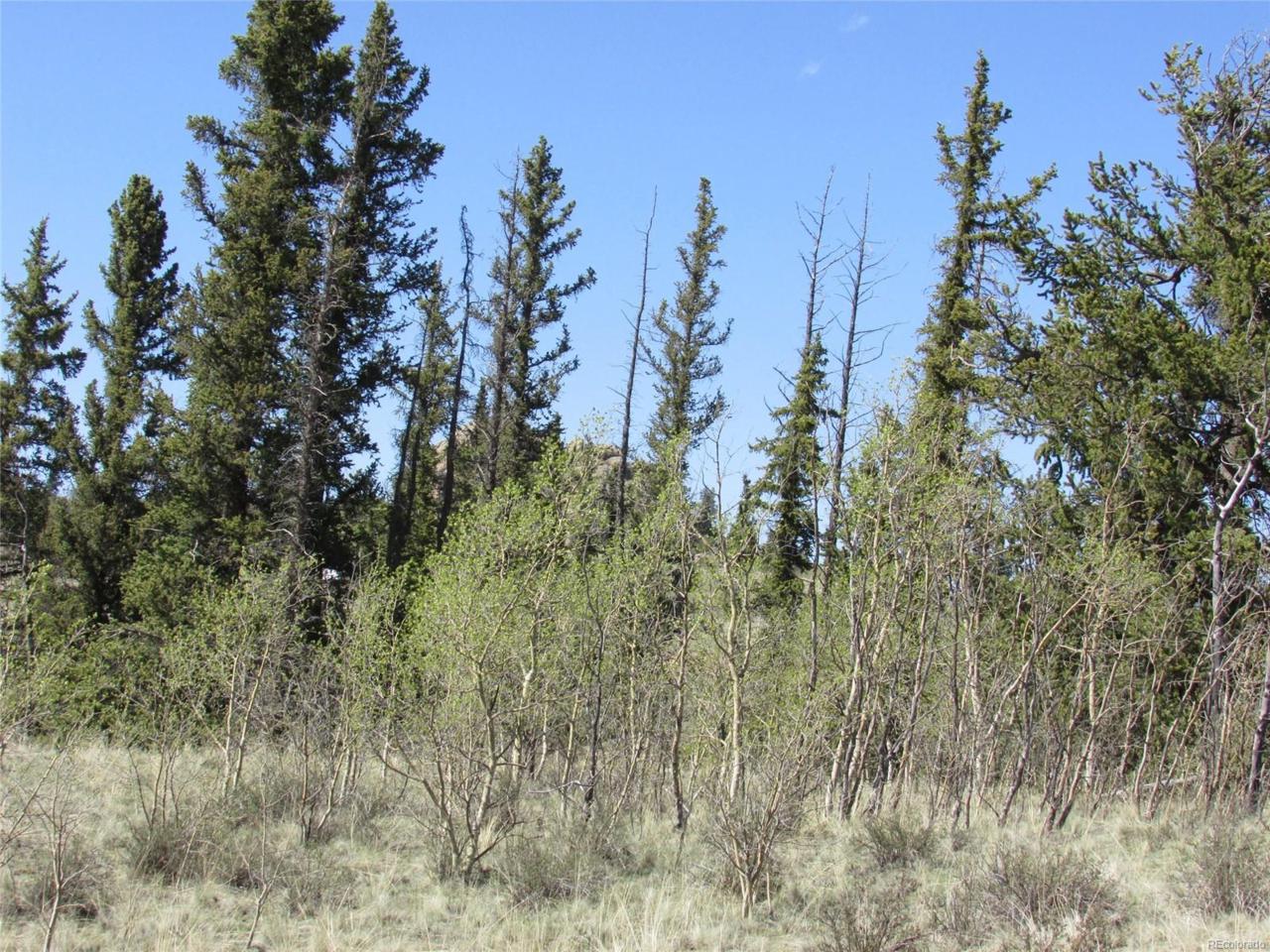 64 Carbine Road - Photo 1