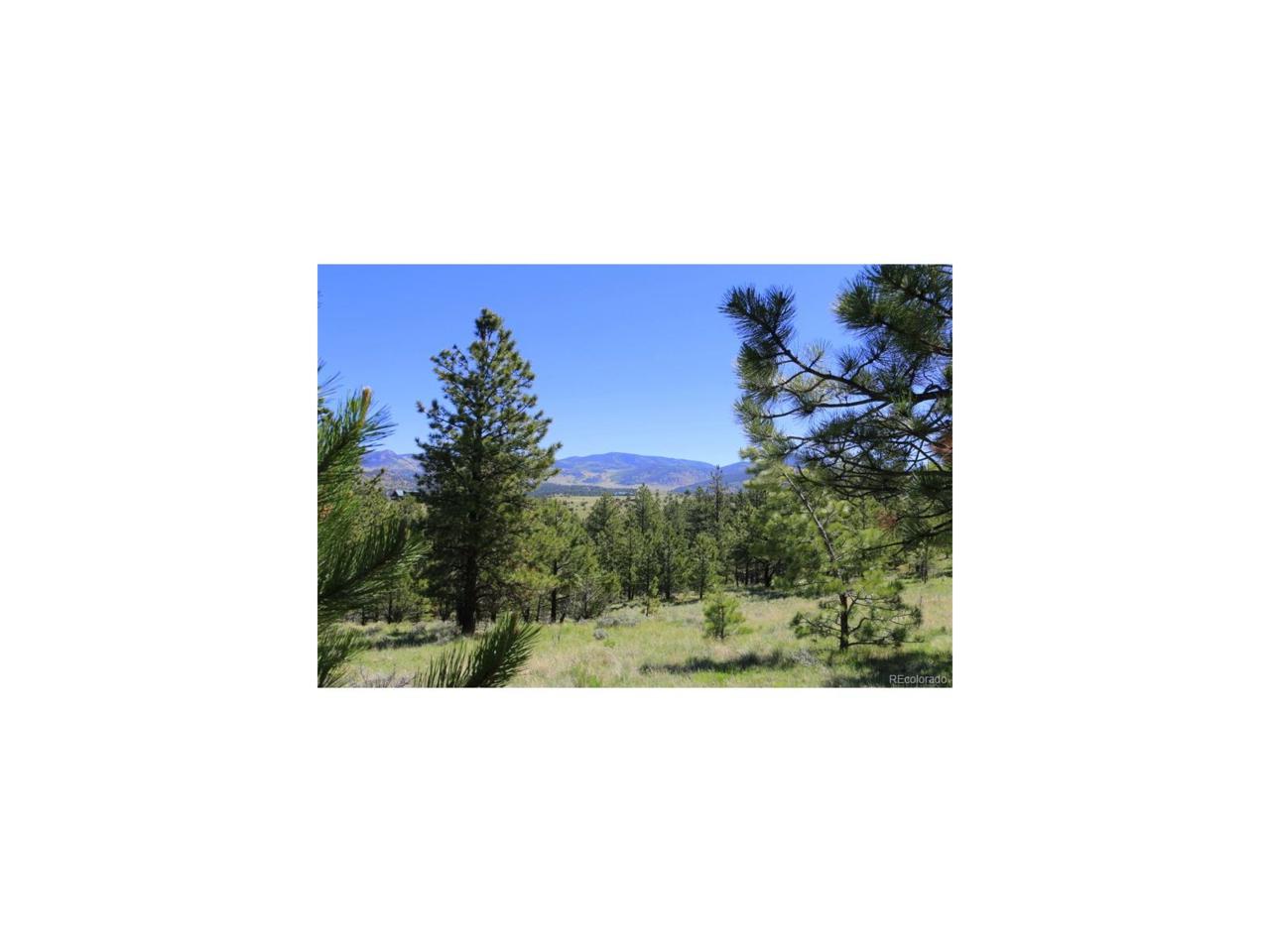 511 Crystal Falls Drive - Photo 1