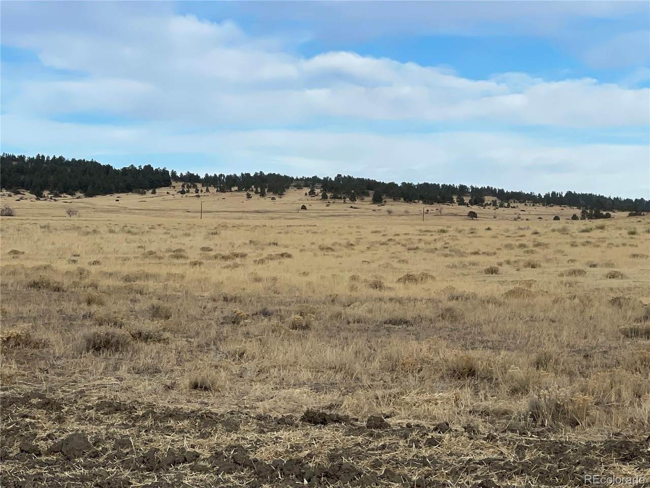 14882 County Road 102 - Photo 1