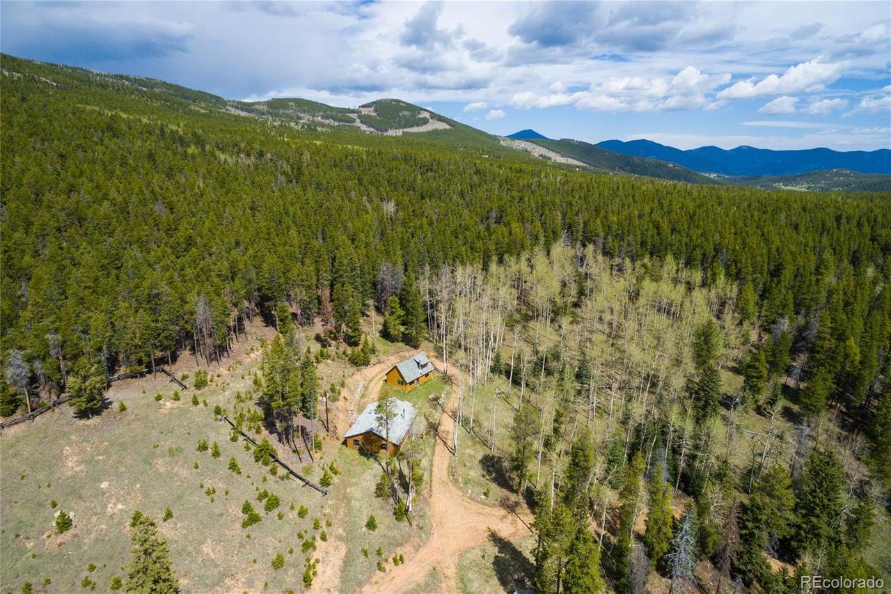8683 Cub Creek Trail - Photo 1