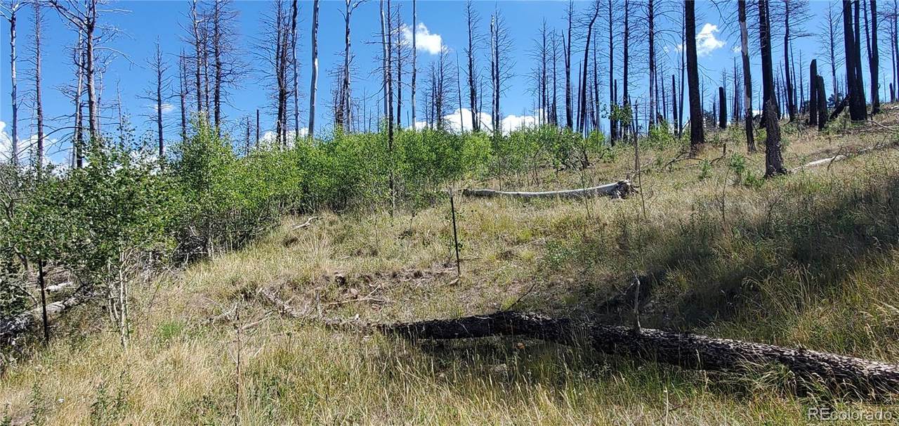 Lot 1064 Reed Lane - Photo 1