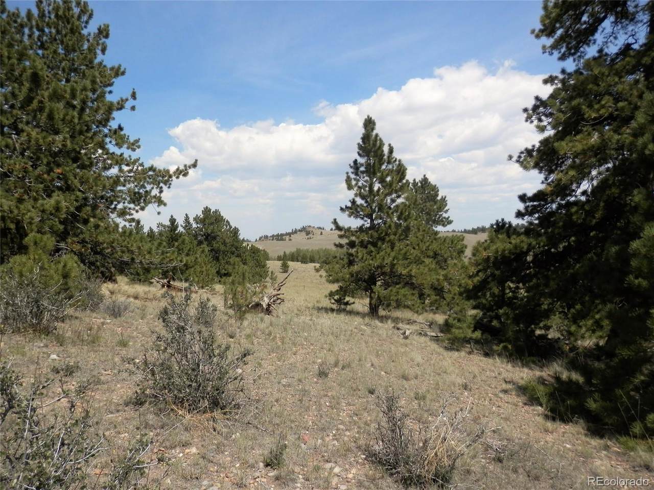 5447 Ranch Road - Photo 1