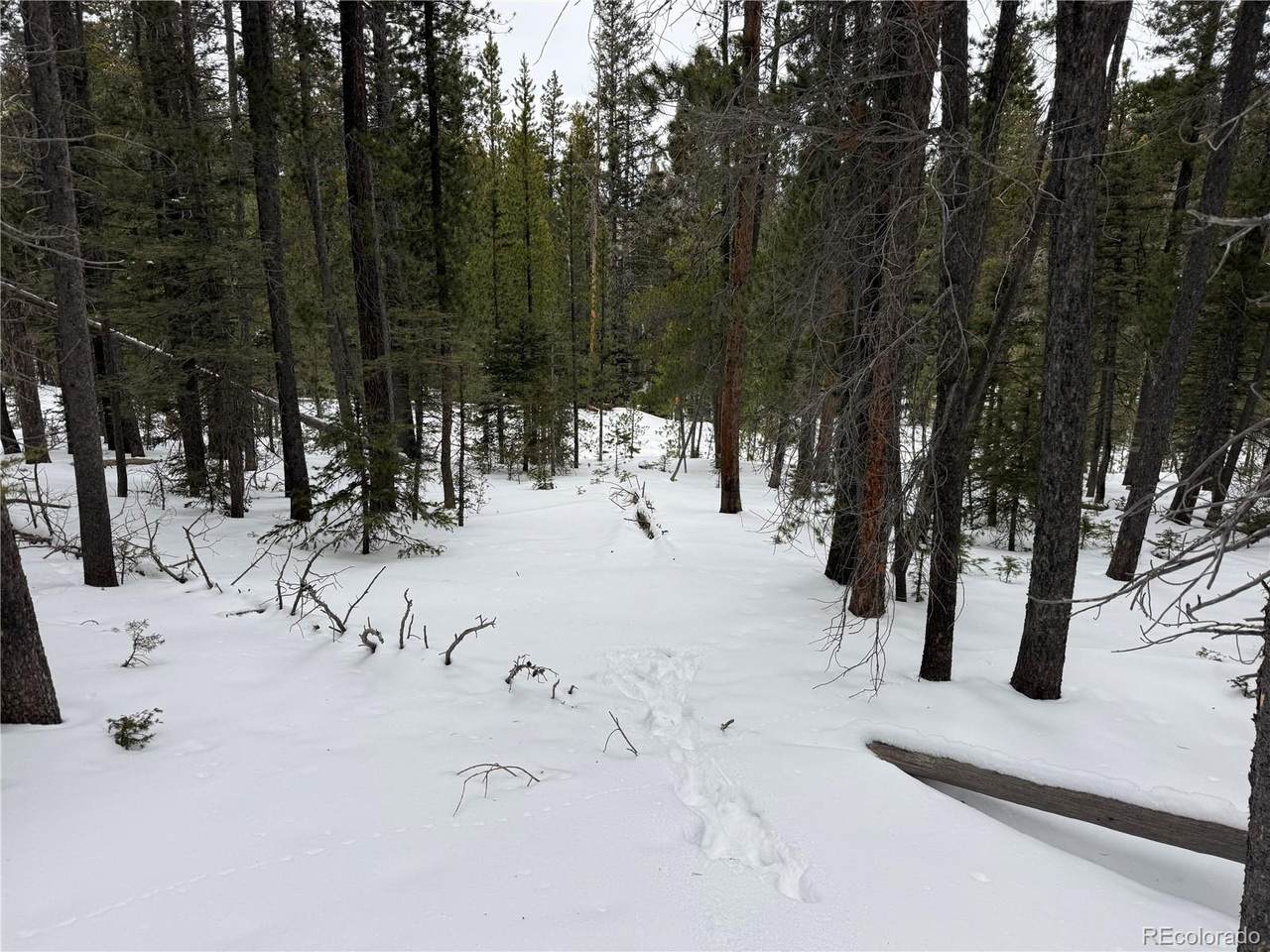 Lot 2806 Moir Drive - Photo 1