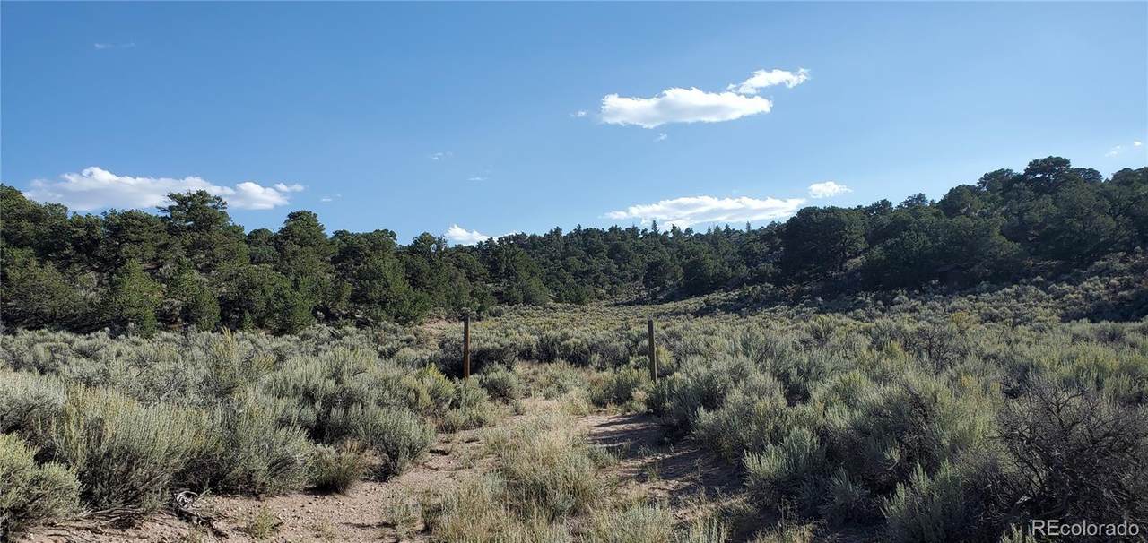 3989 Person Road - Photo 1