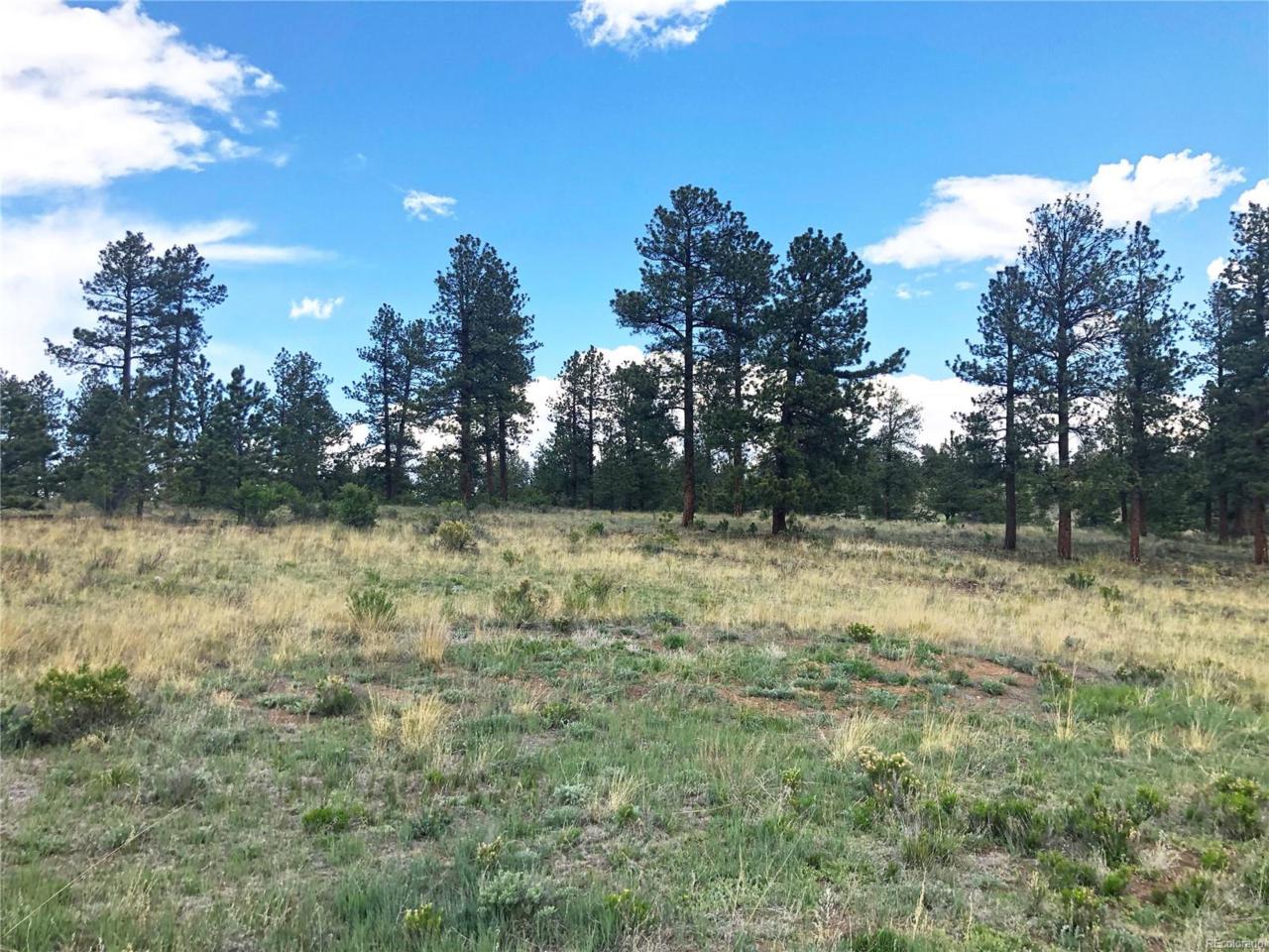 3575 Co Road 271 Road - Photo 1 3575 Co Road 271 Road - Photo 1