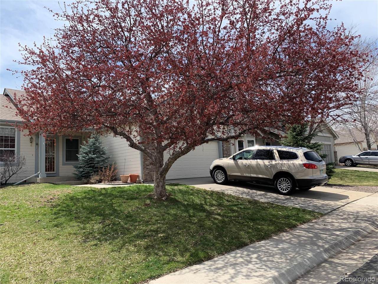 11201 Xavier Drive - Photo 1