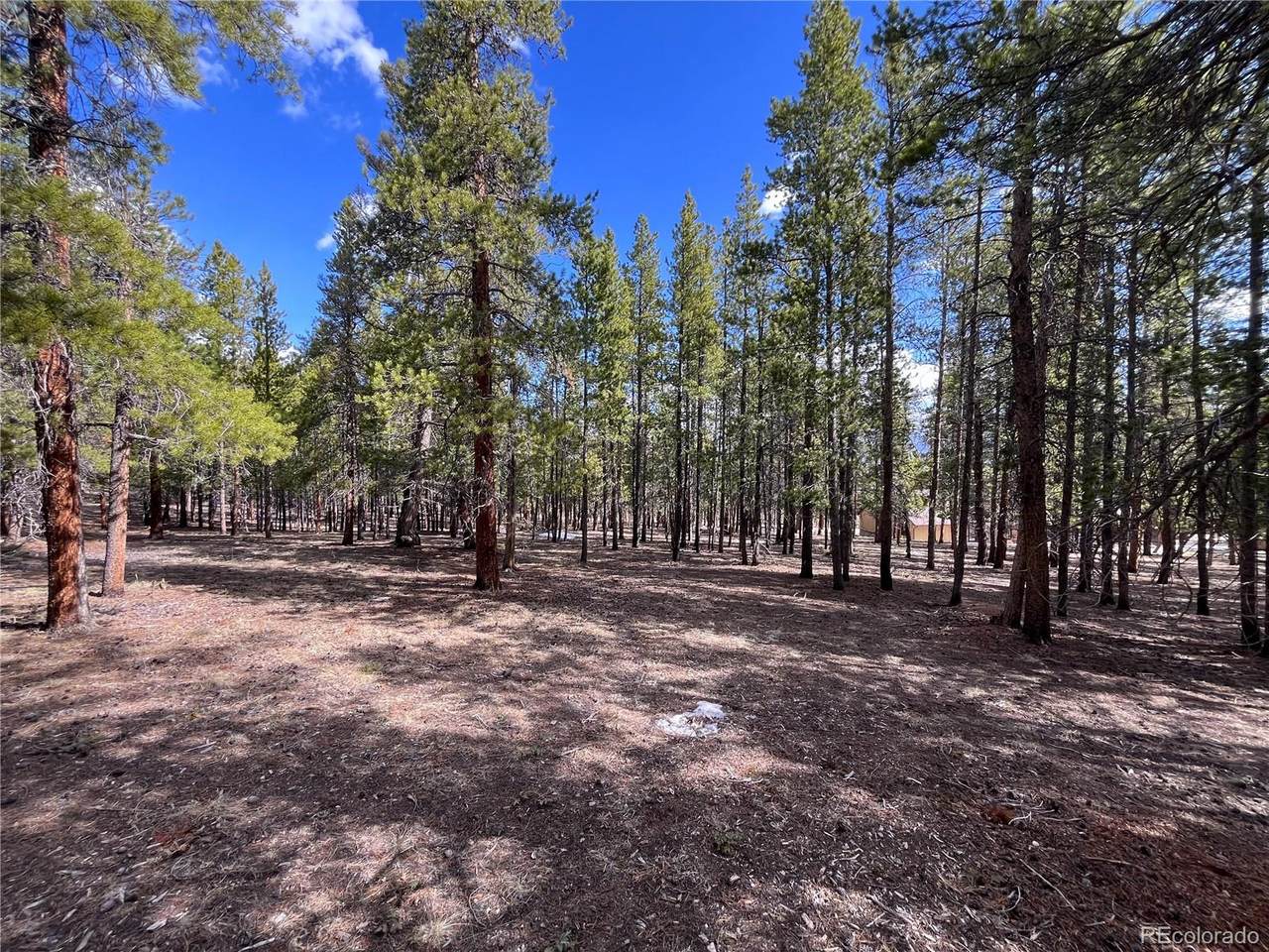 30336 National Forest Drive - Photo 1