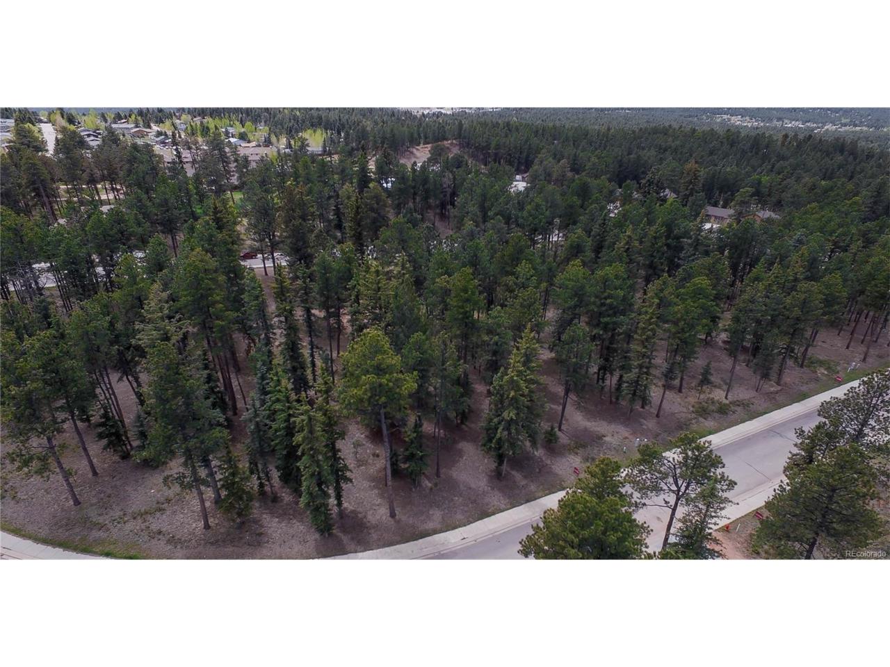 645 Chipmunk Drive - Photo 1
