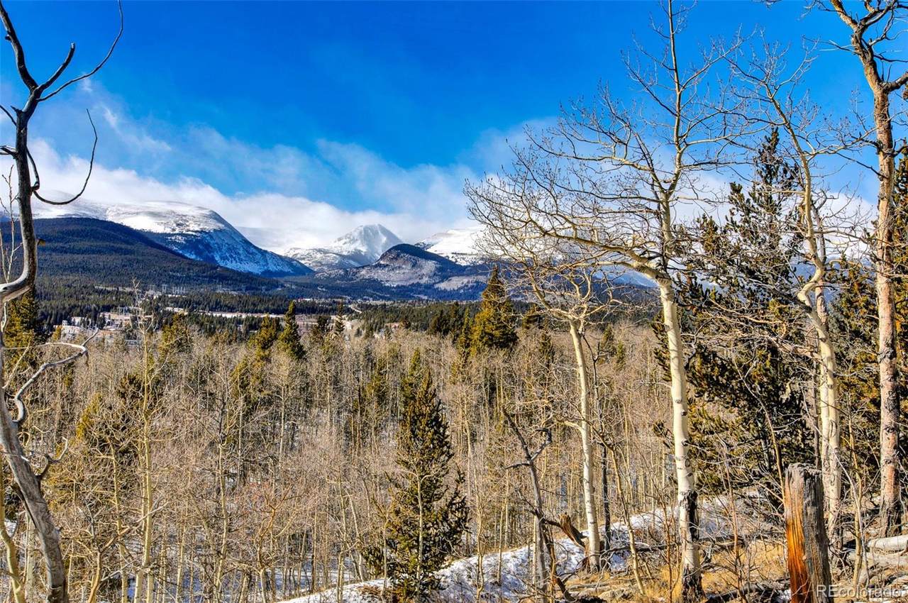 96 Dead Toad Road - Photo 1