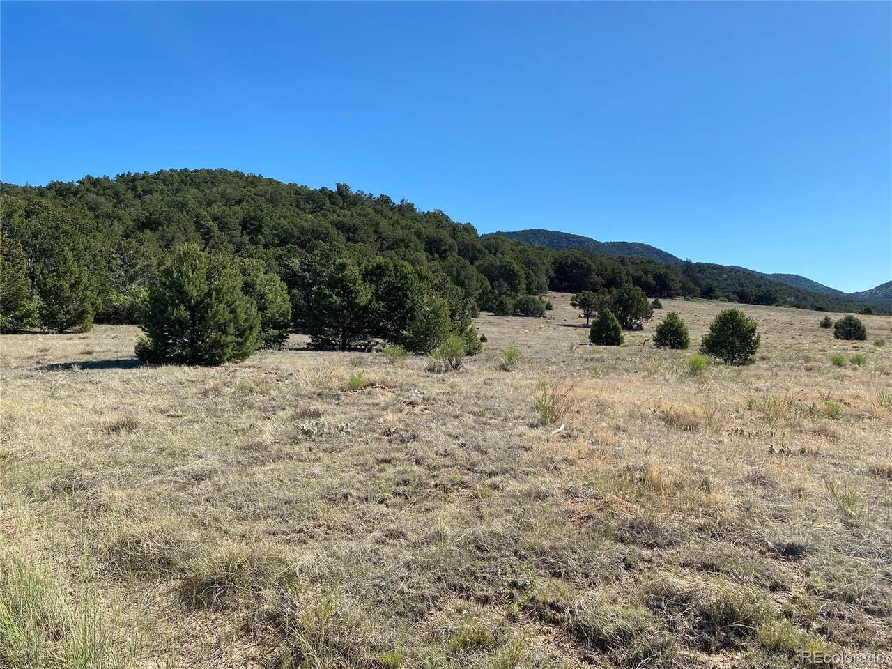 Wiest Hill Trail - Photo 1