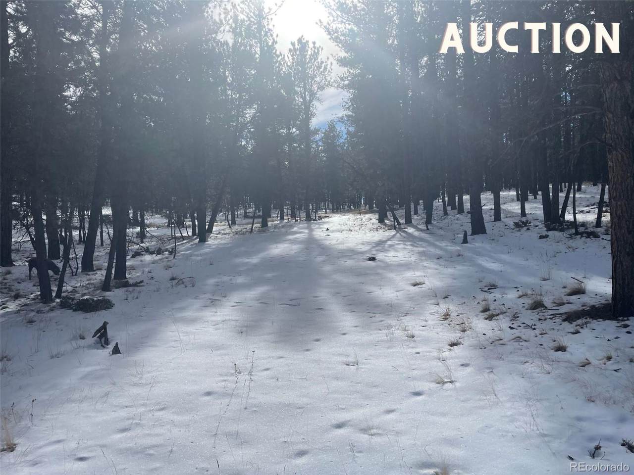 118 Ouray Road - Photo 1