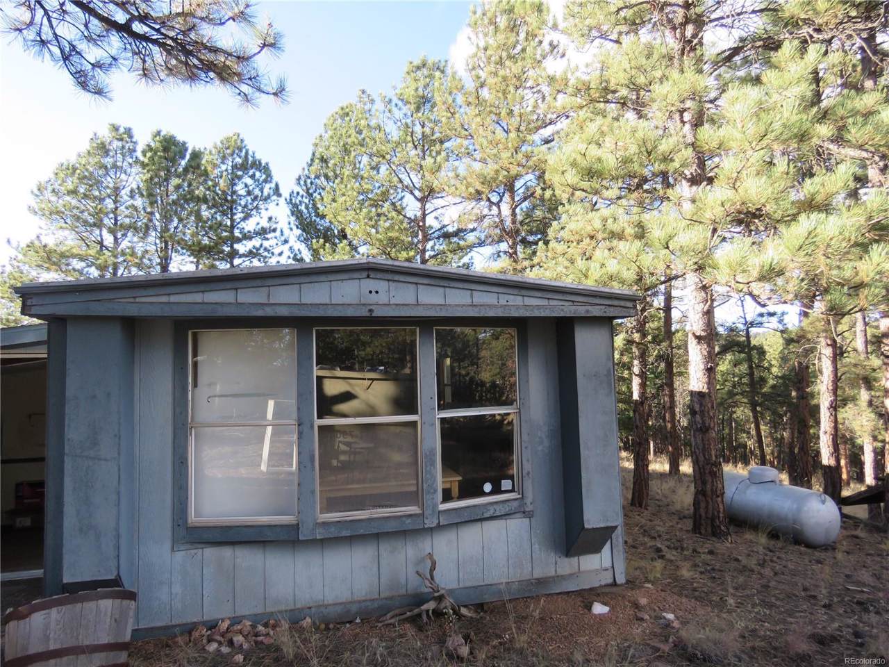 1264 Pikes Peak Drive - Photo 1