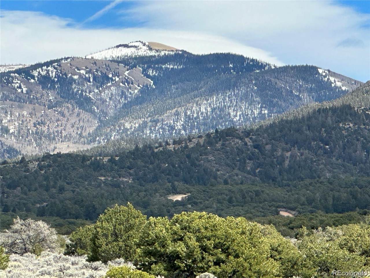 1981 Yablon Road - Photo 1