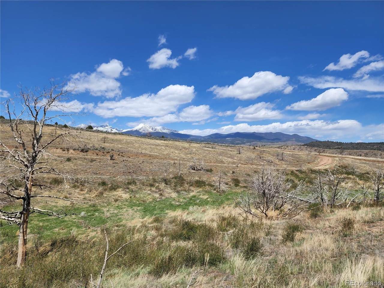 7741 Van Giesen Road - Photo 1