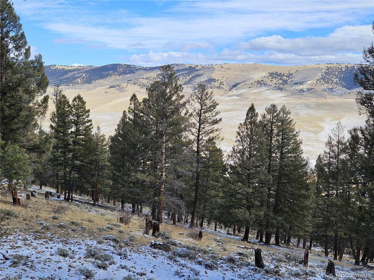 4260 Middle Fork Vista - Photo 1