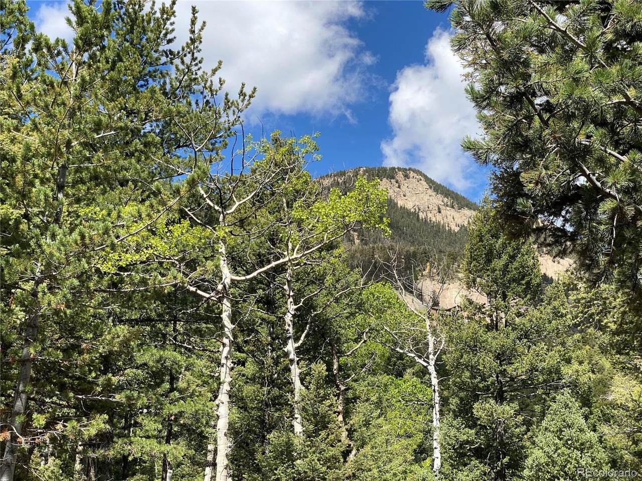 210 Waterfall Loop - Photo 1