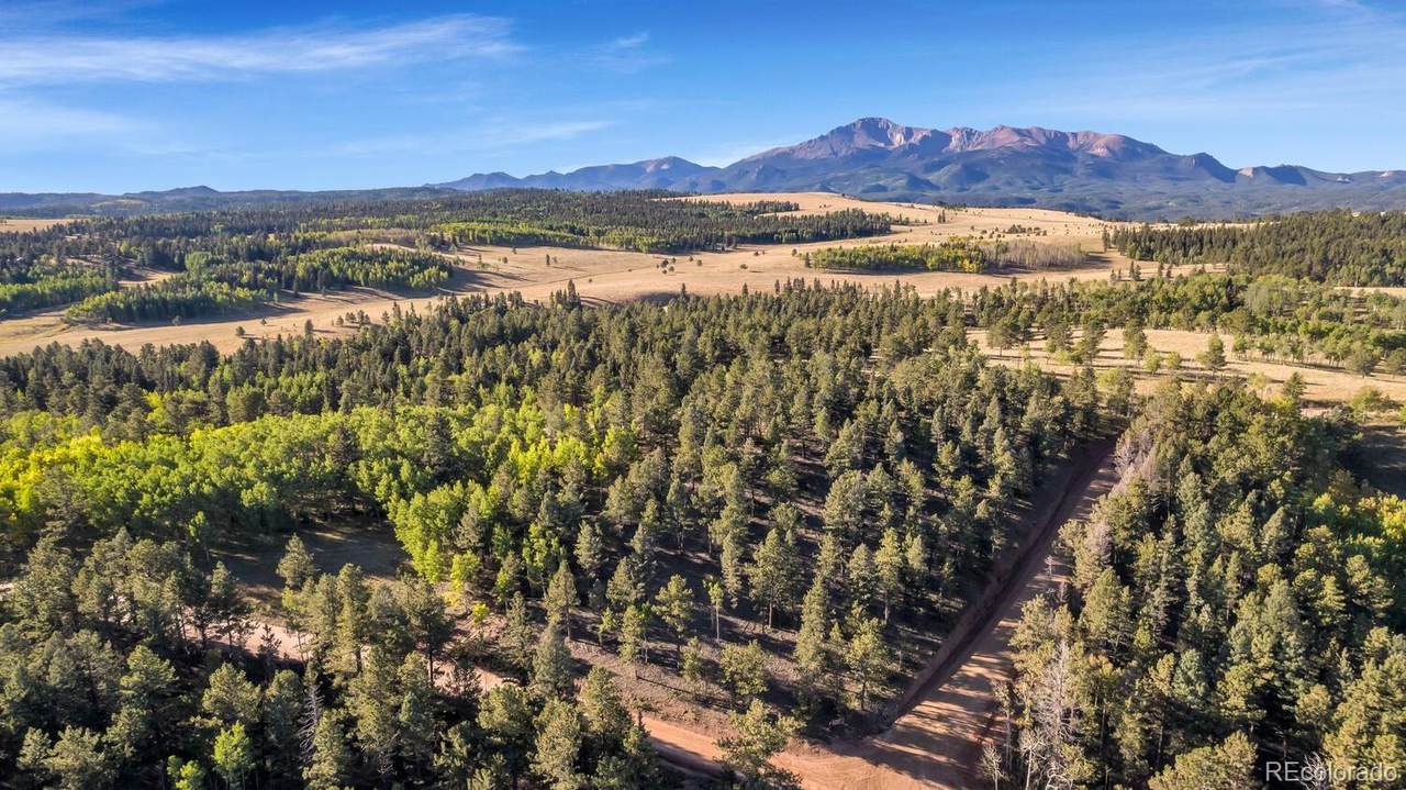 LOT 25 Rampart Range Road - Photo 1