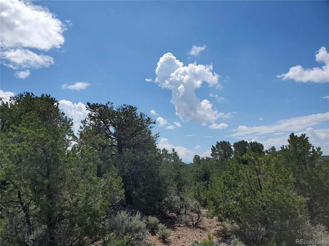 1433 Marion Road - Photo 1