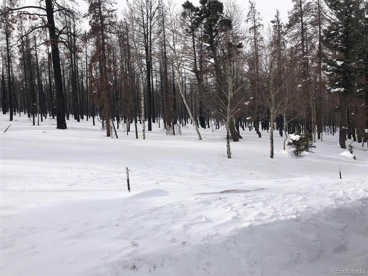 Forbes Park Road - Photo 1
