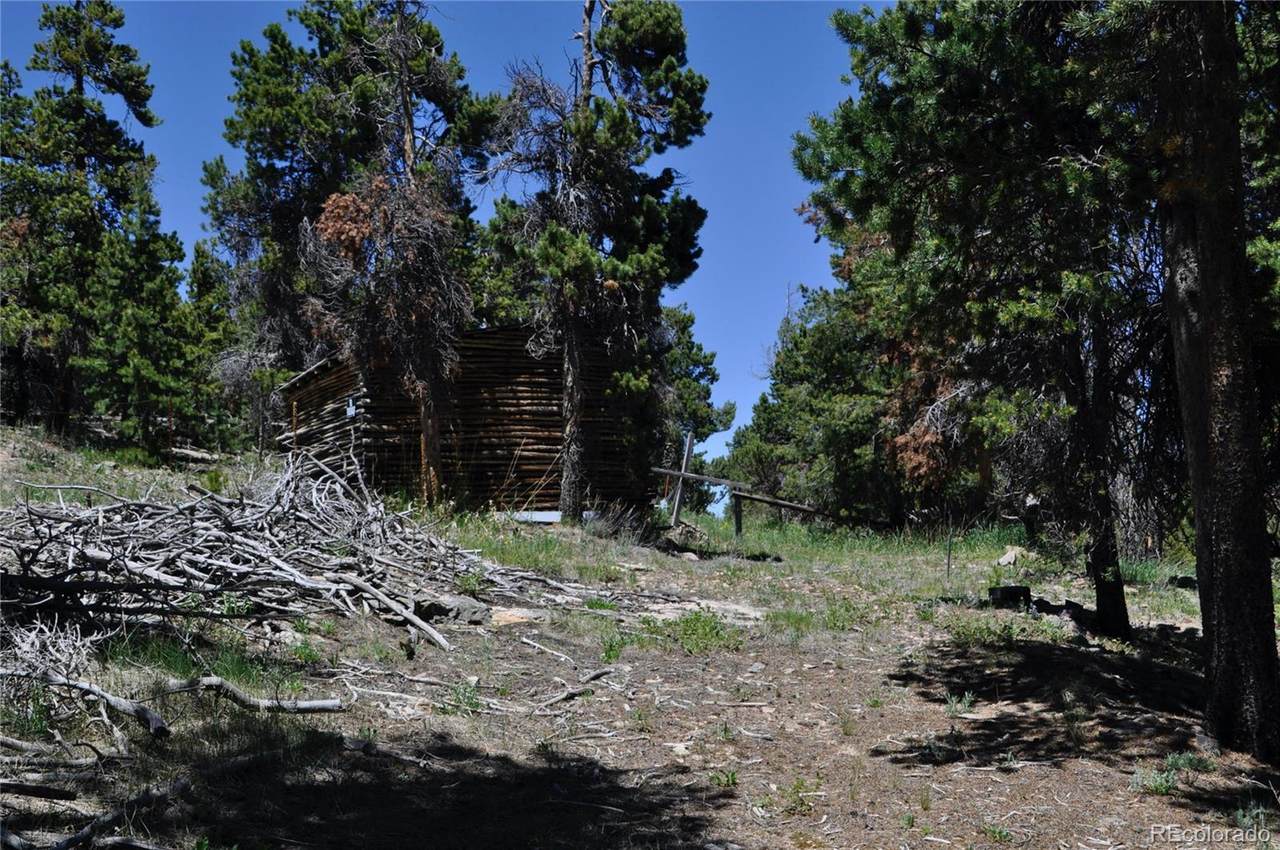 900 Rudi Lane - Photo 1