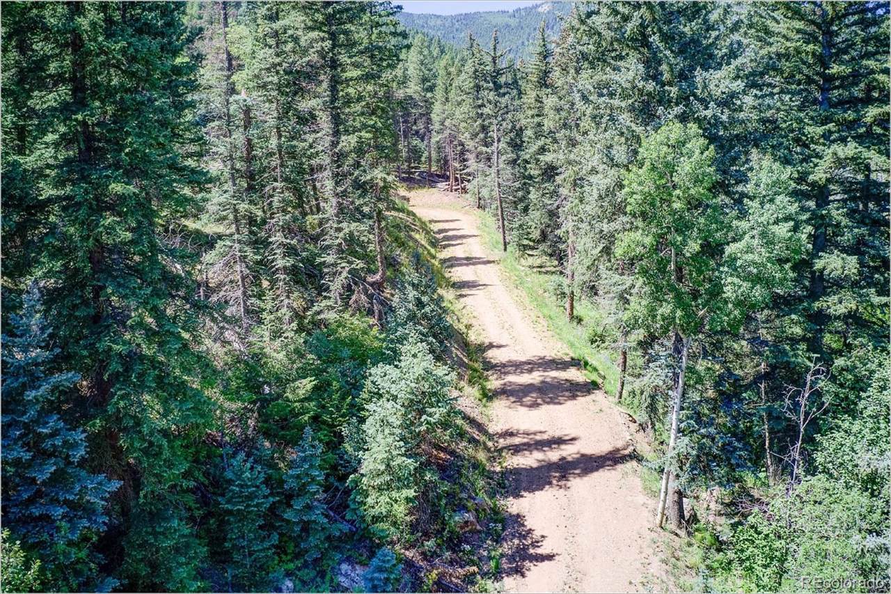 2965 Witter Gulch Road - Photo 1
