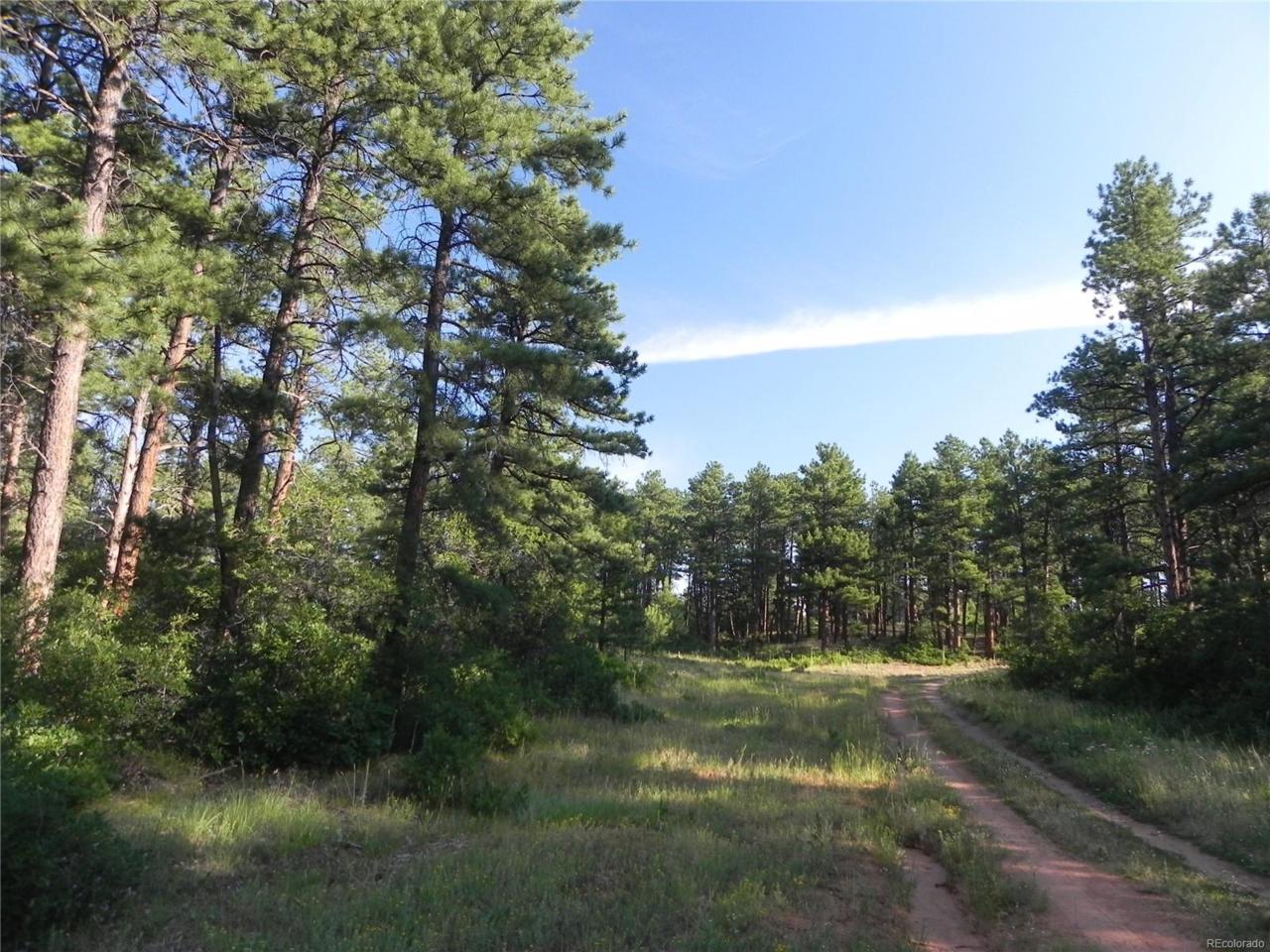 4580 Delaware Drive - Photo 1