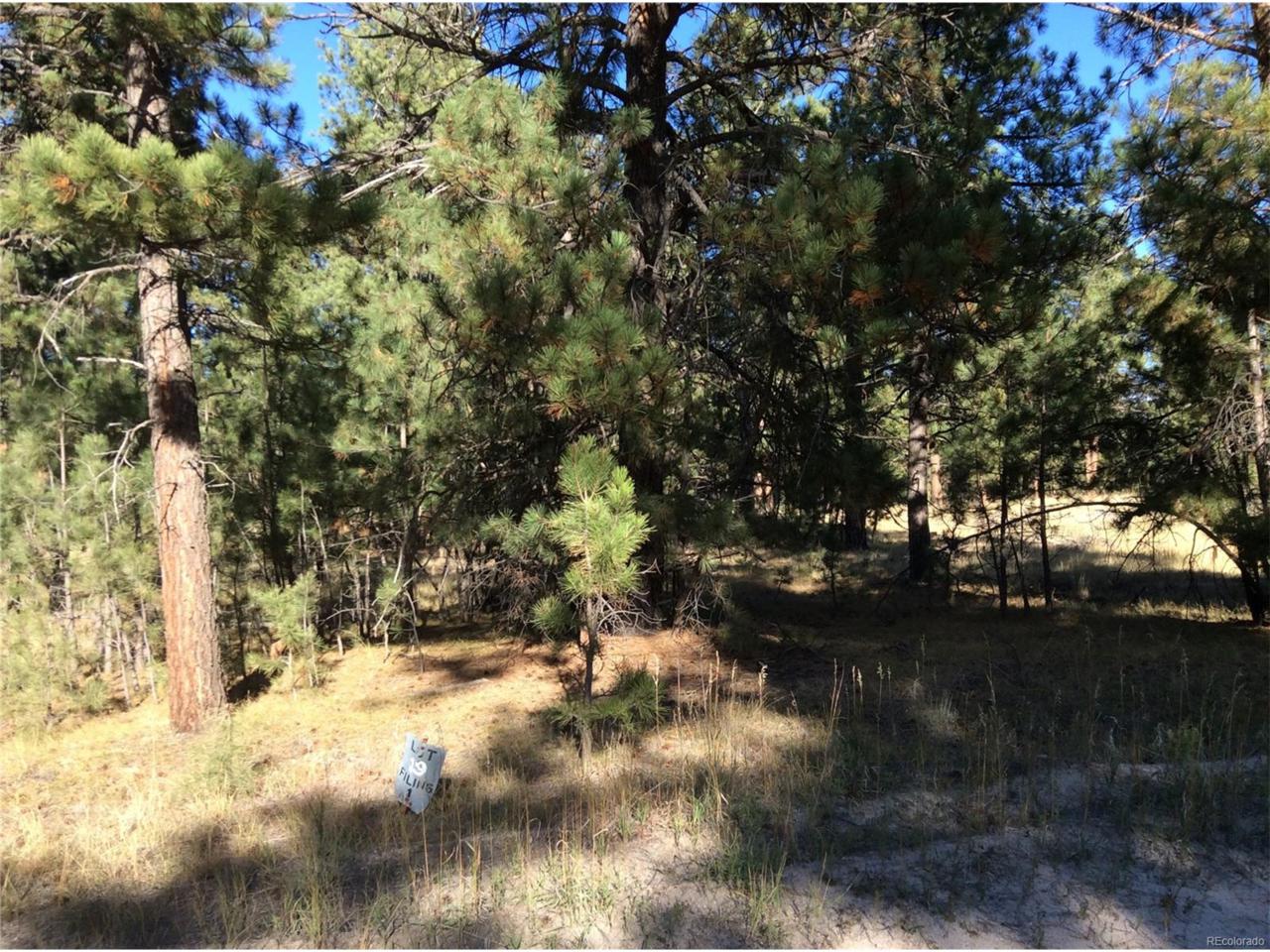 5067 Hidden Meadow Court - Photo 1