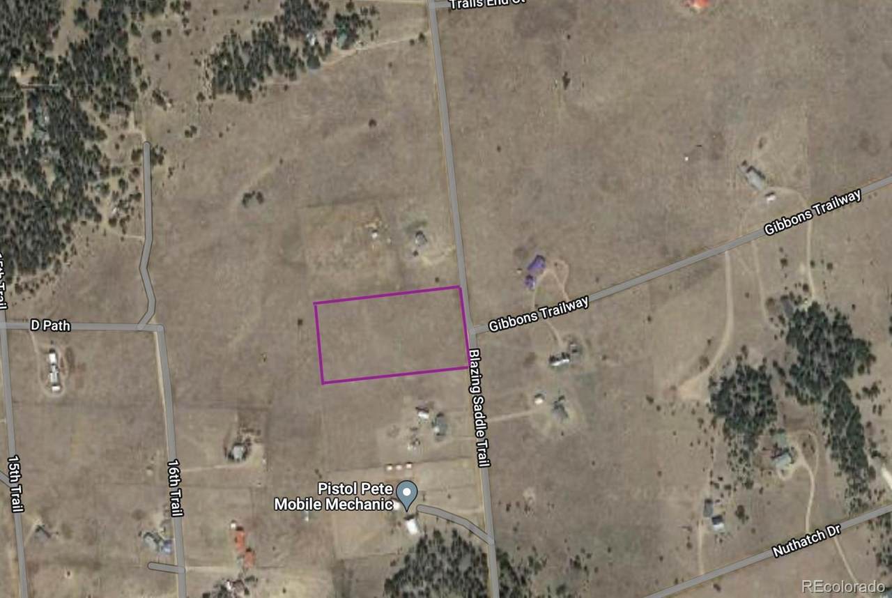 311 Blazing Saddle Trail - Photo 1
