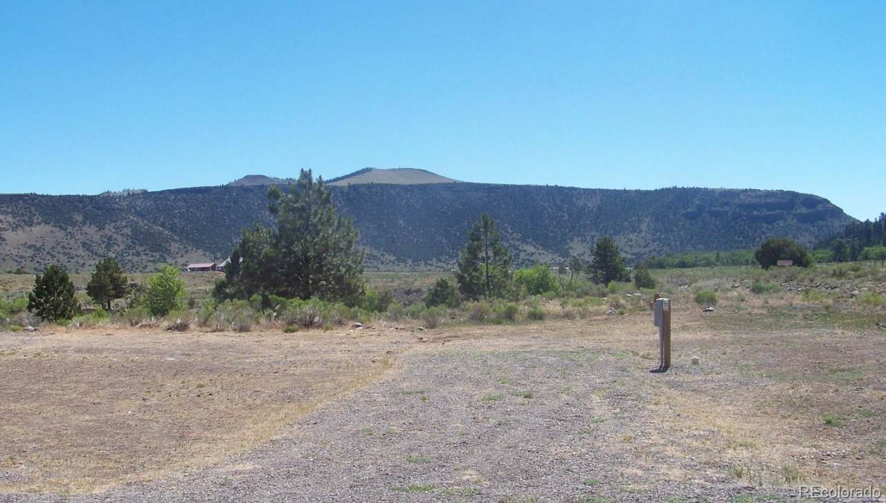 26714 State Hwy 17 Lot 11 - Photo 1