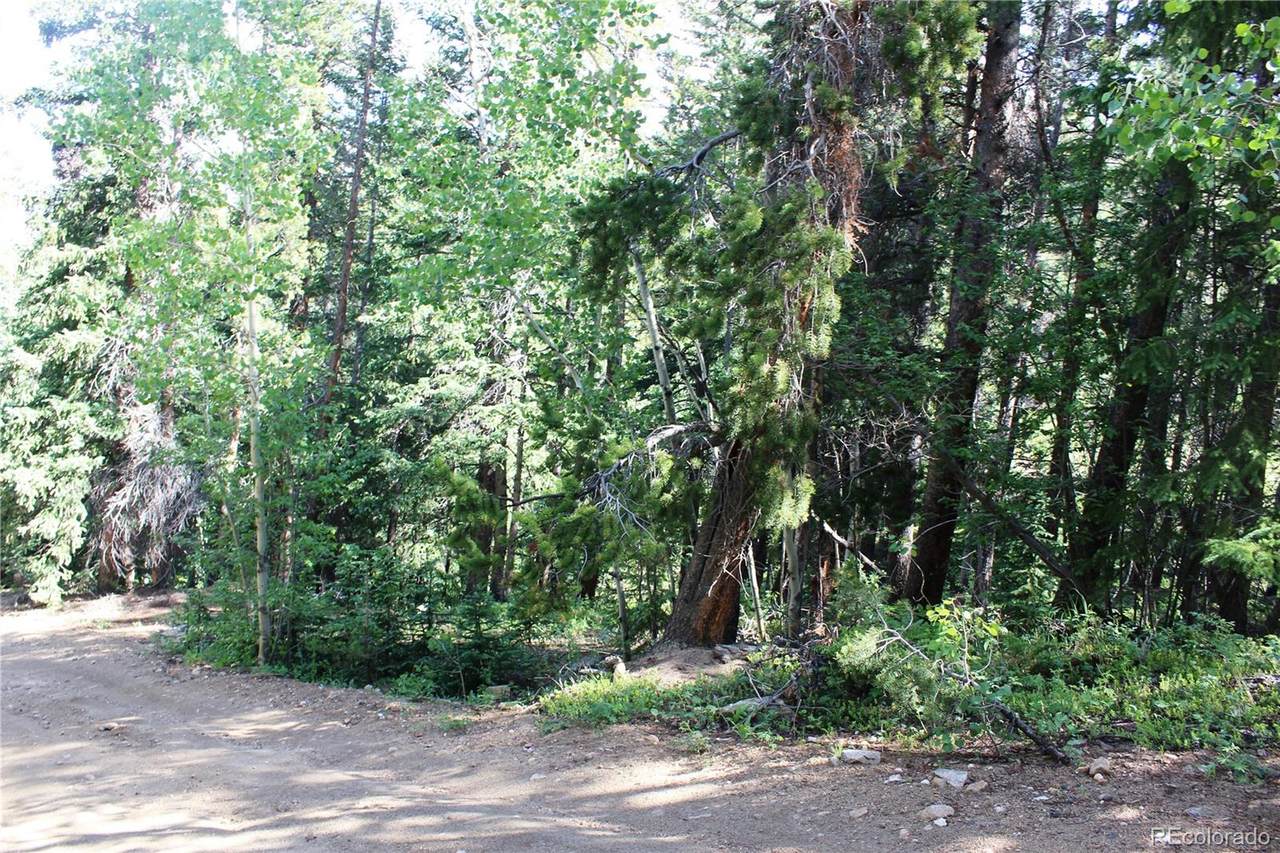 00 Sunflower Road - Photo 1
