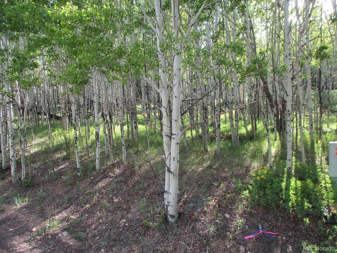 00 Selkirk Lane - Photo 1