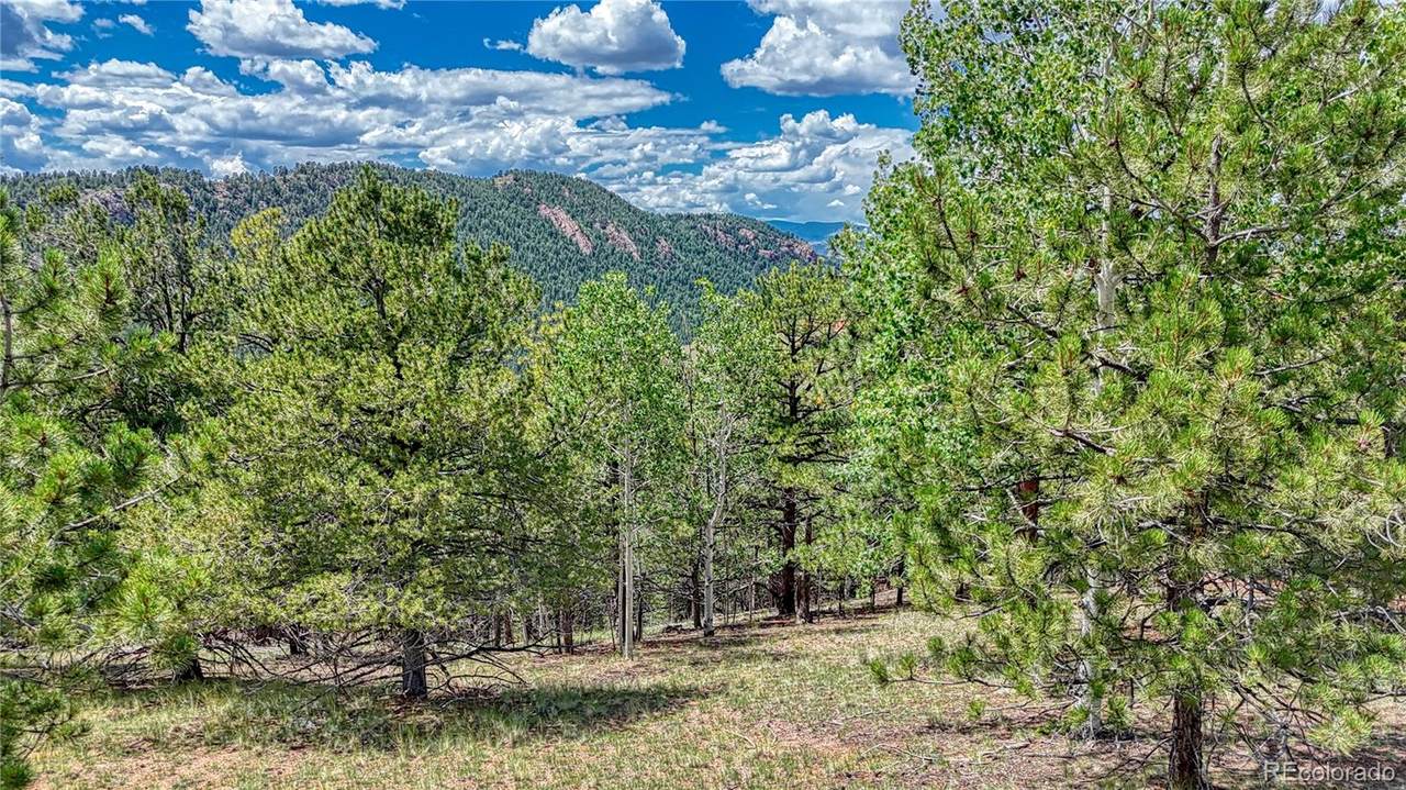 24 Wild Horse Circle - Photo 1