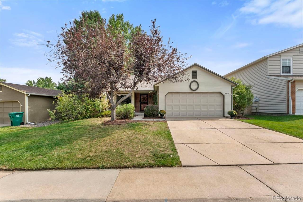 8309 Sandreed Circle - Photo 1
