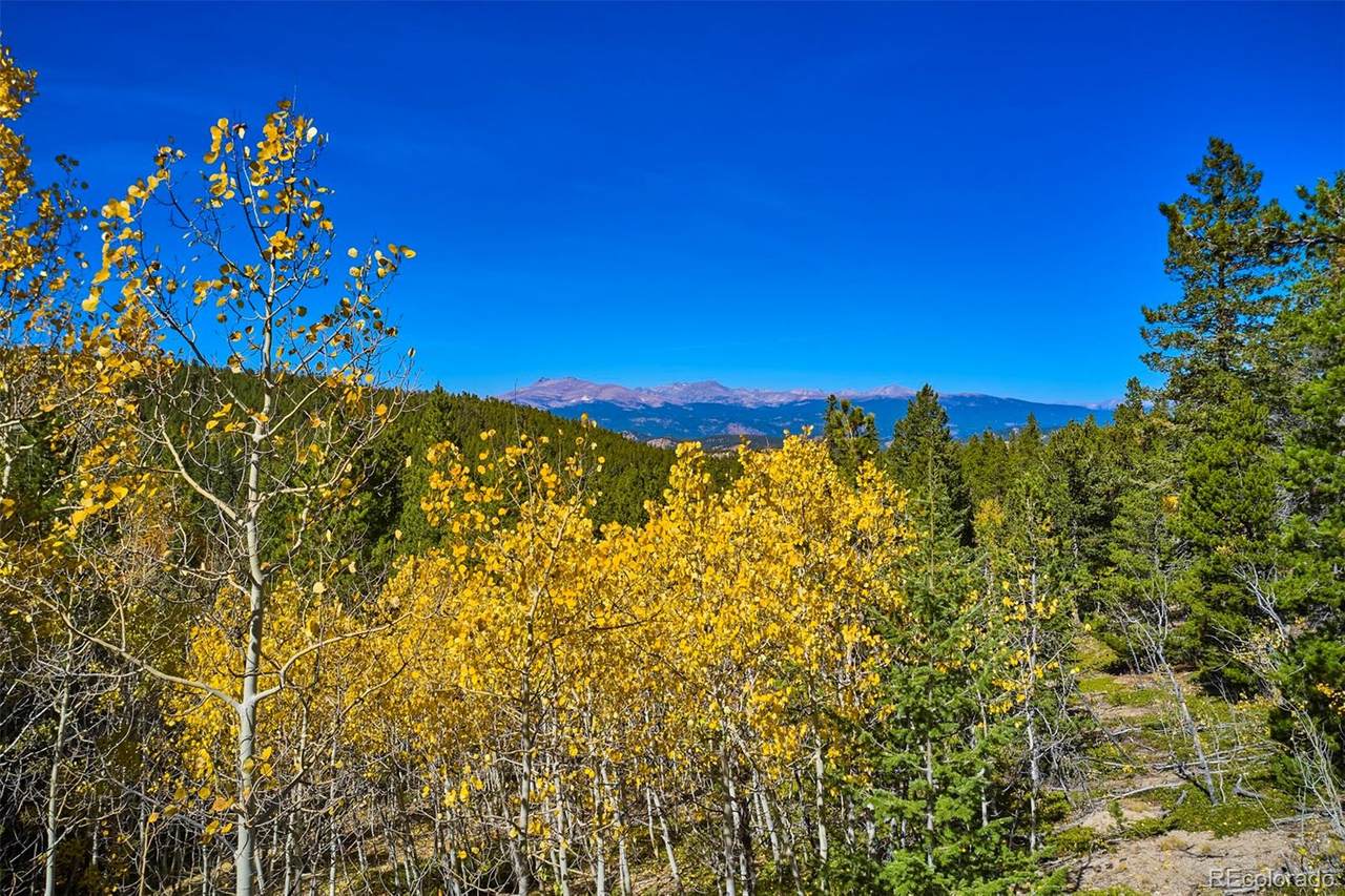 0 Lupine Place - Photo 1