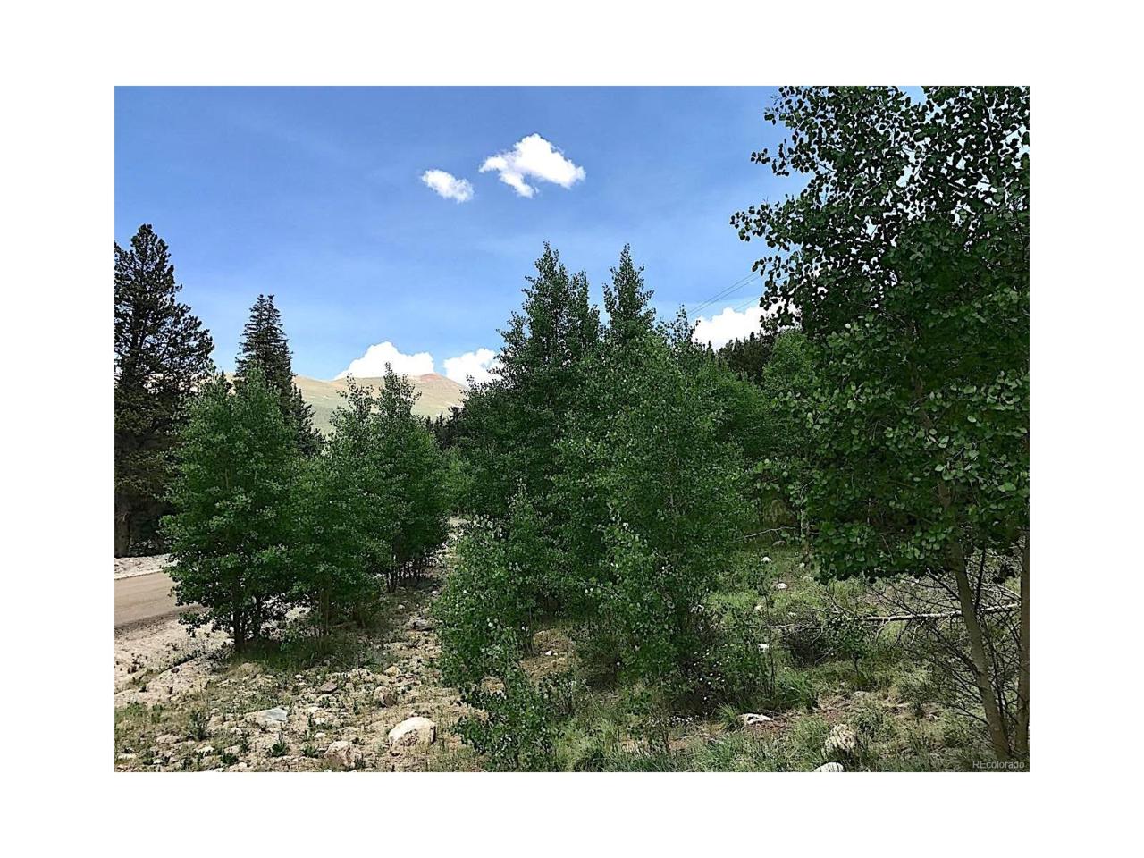 Buckskin Road - Photo 1