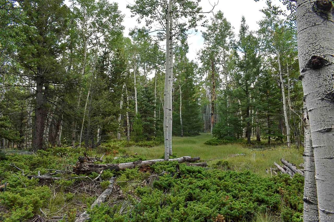 205 Timberline Drive - Photo 1