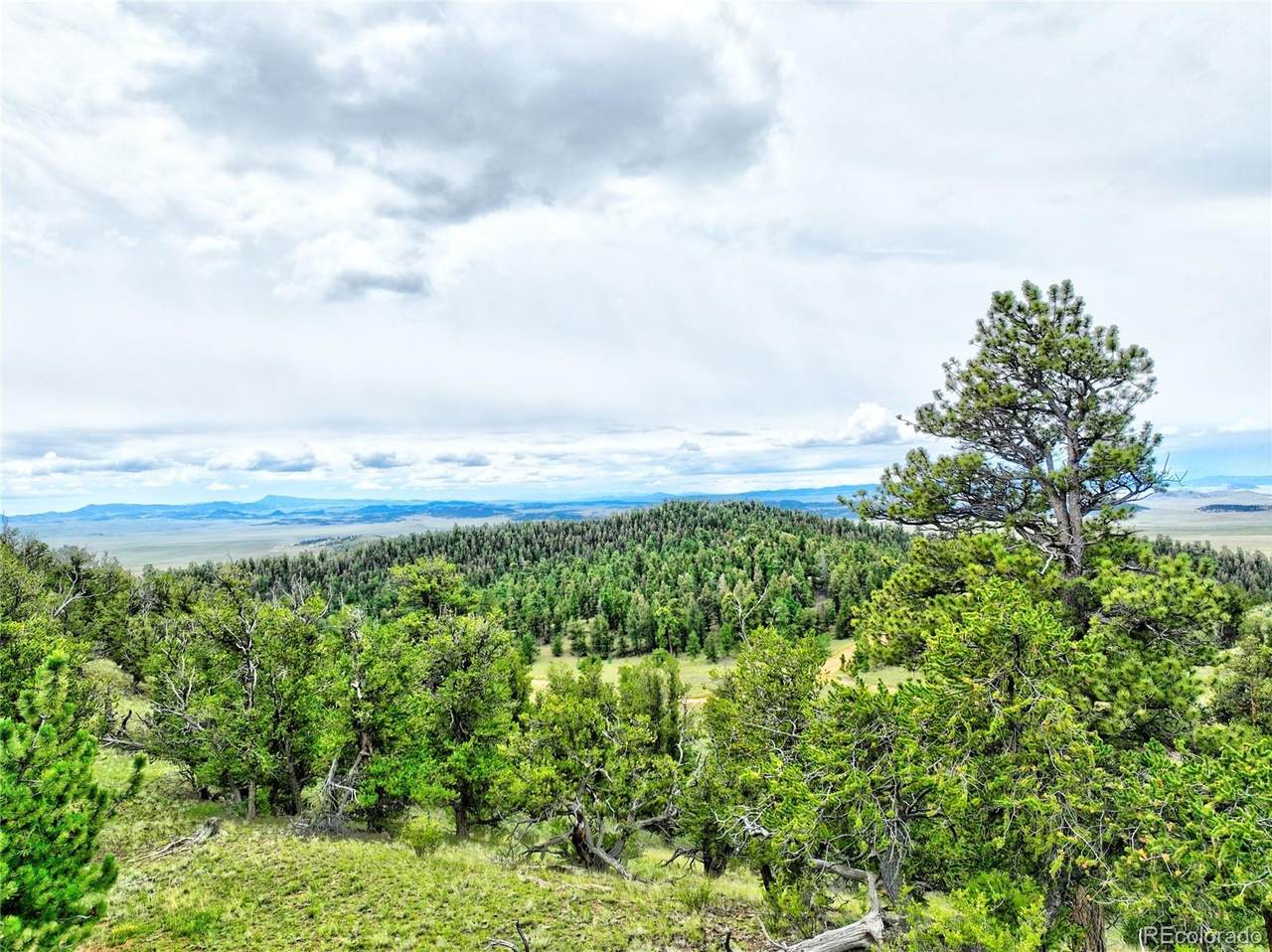 861 Summit Road - Photo 1
