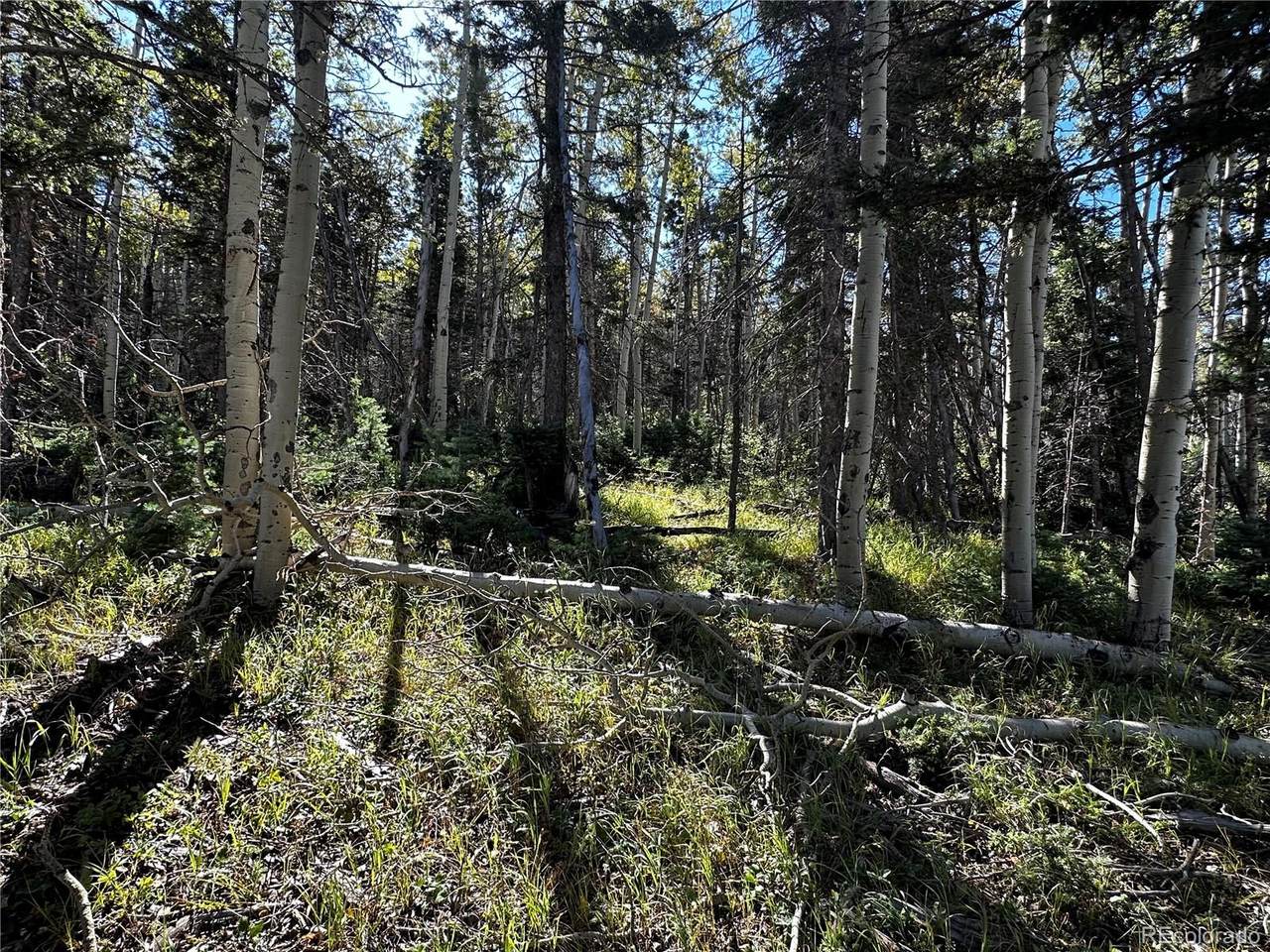 Lot 2652 Petito Drive - Photo 1