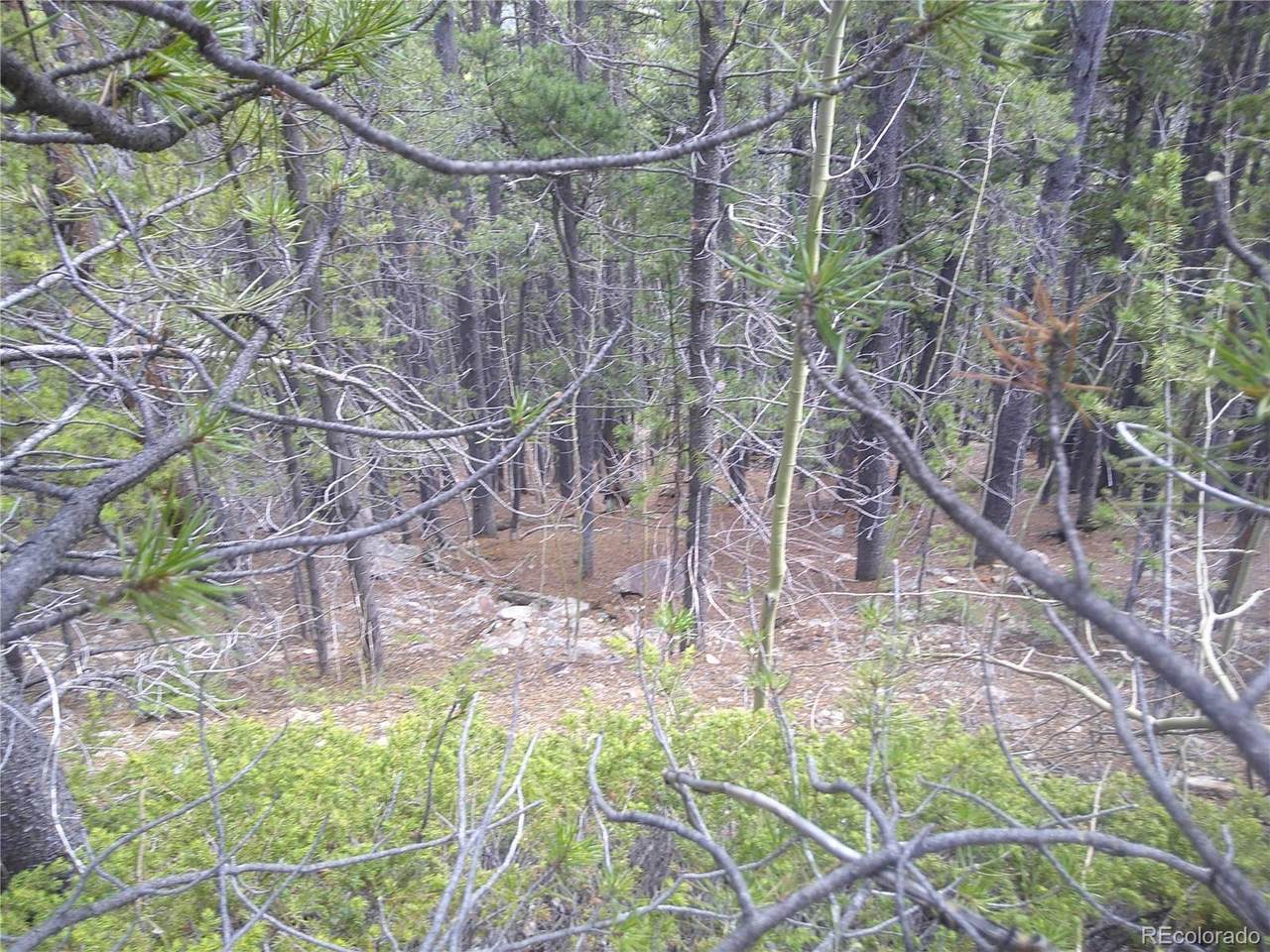 Lot #441 Hillside Road - Photo 1