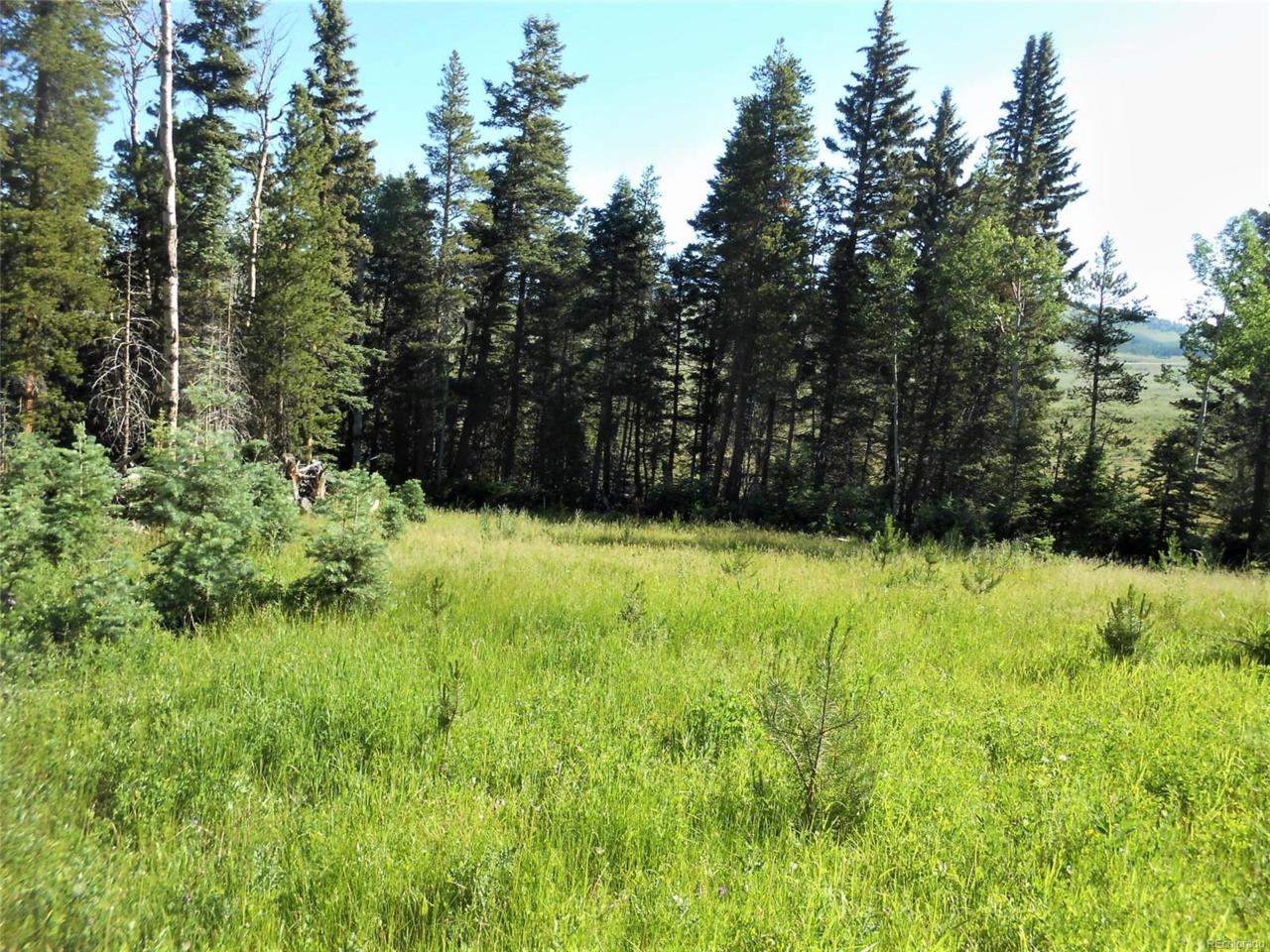 473 County Road W.8 Road, Fort Garland, CO 81133 (MLS #7030307) :: 8z Real Estate