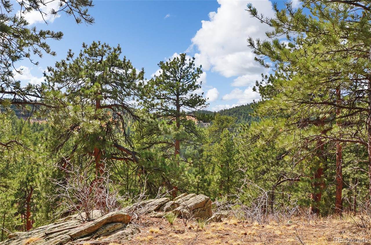 00 Range View Trail West - Photo 1