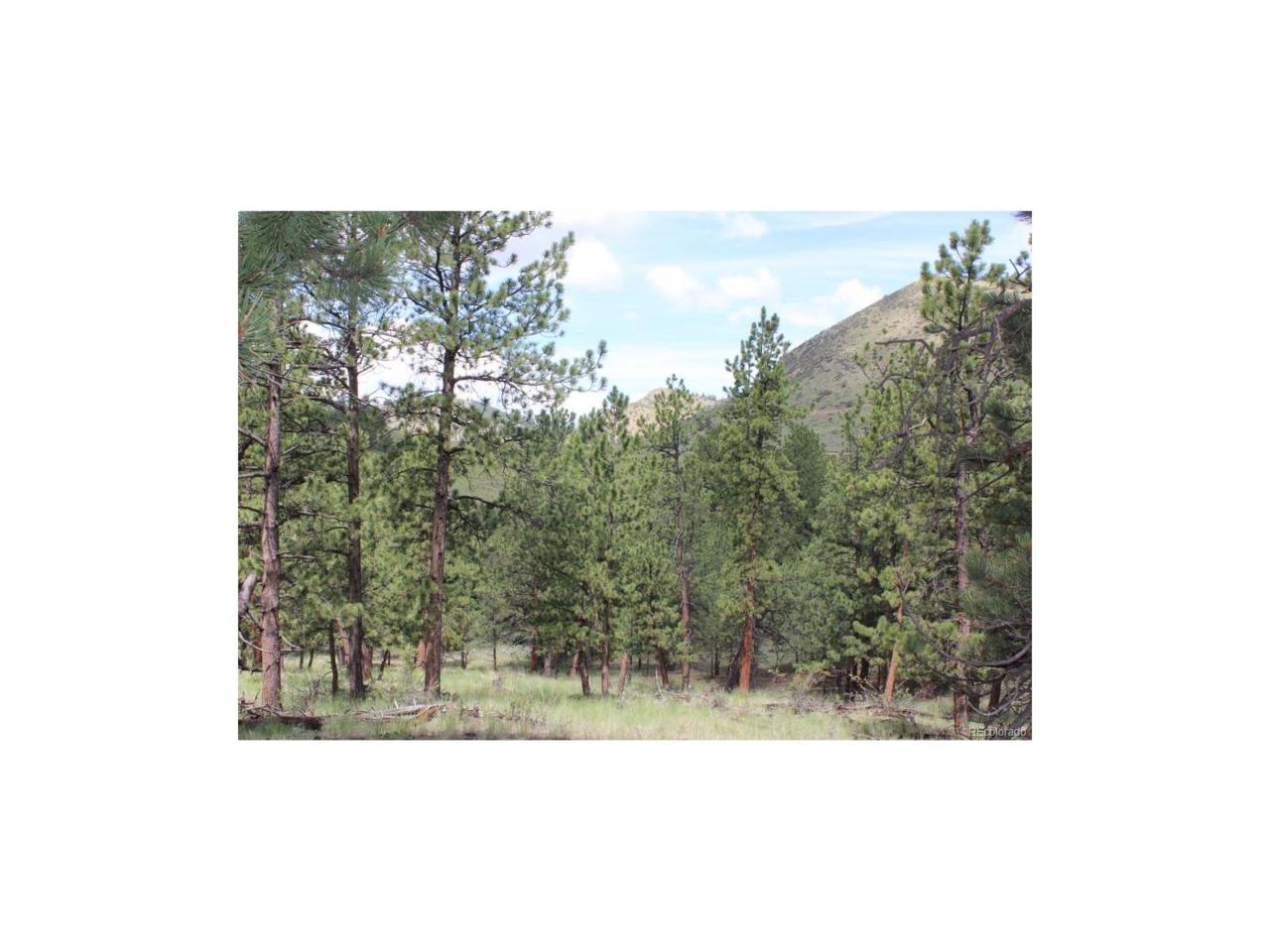117 Berg Pl - Photo 1