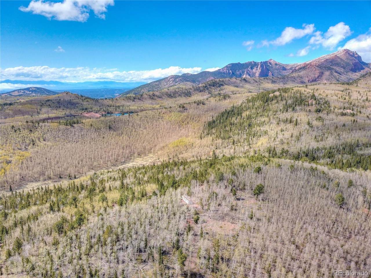 0000 County Road 81 - Photo 1