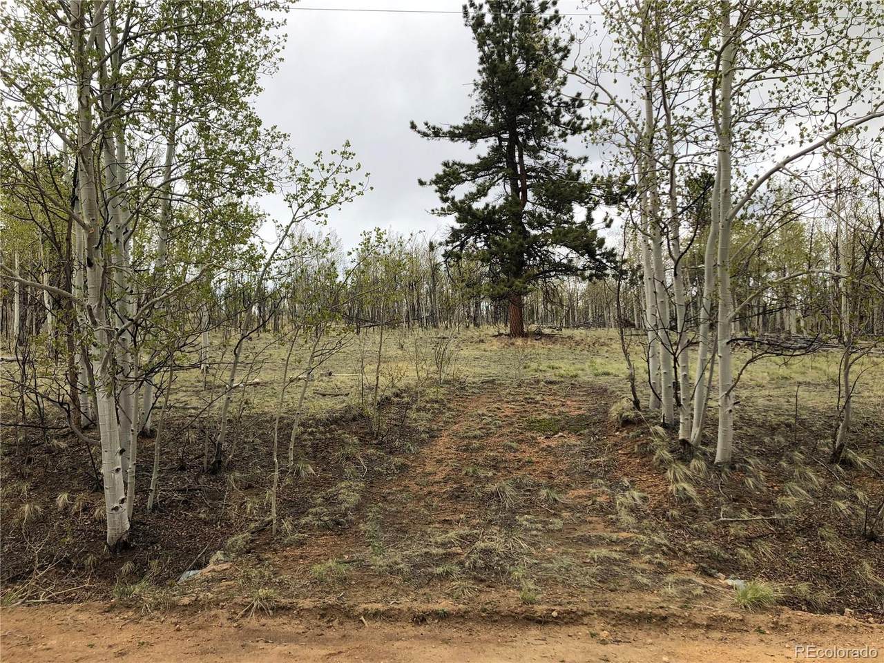 171 Falcon Road - Photo 1