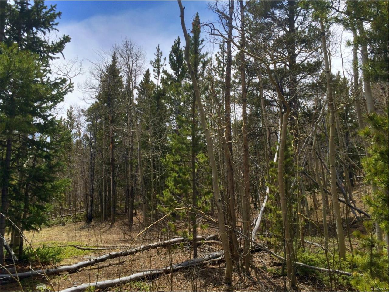 0 Vots Drive, Fairplay, CO 80440 (MLS #7066975) :: 8z Real Estate