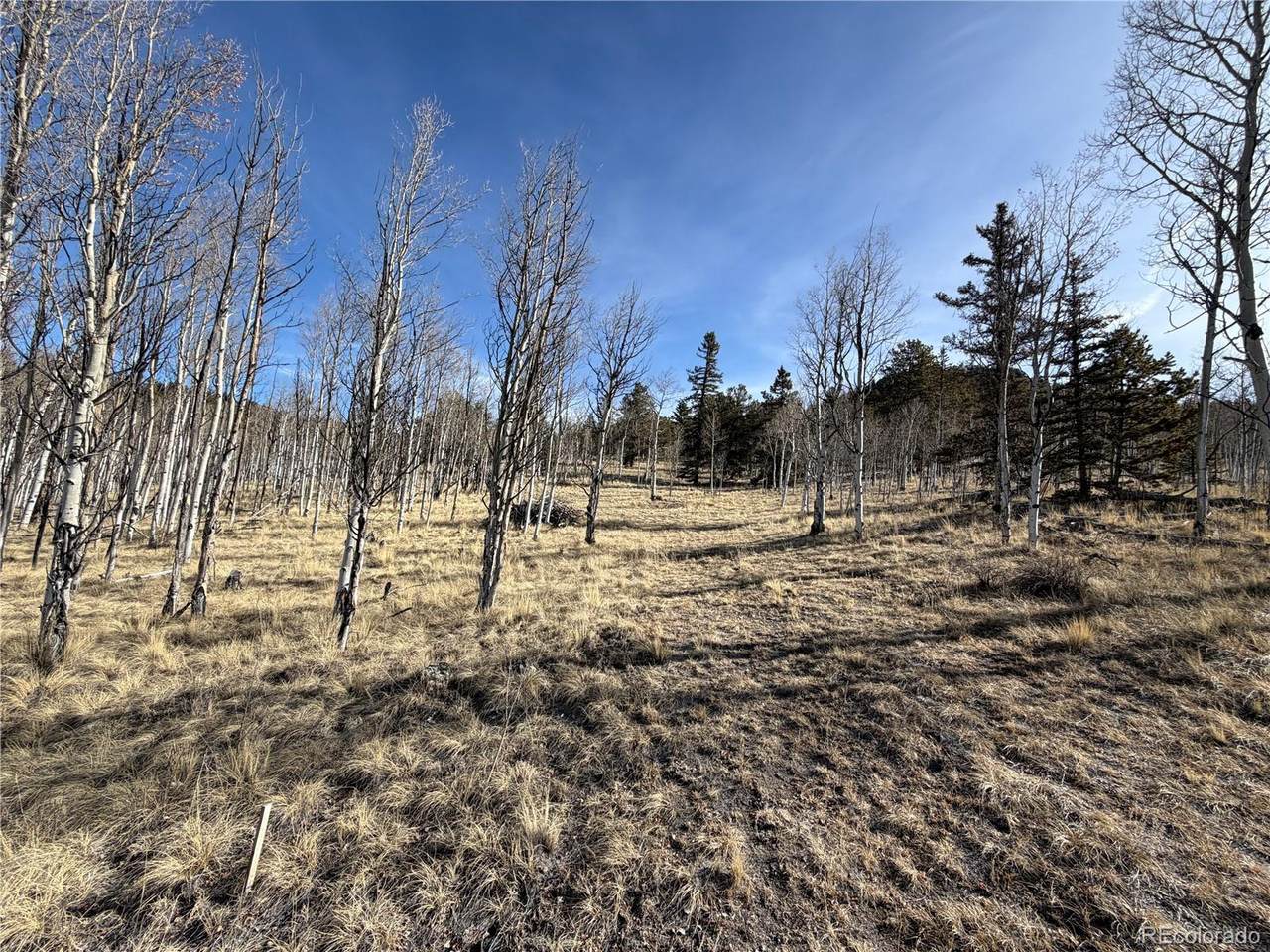 32 Sugar Loaf Lane - Photo 1