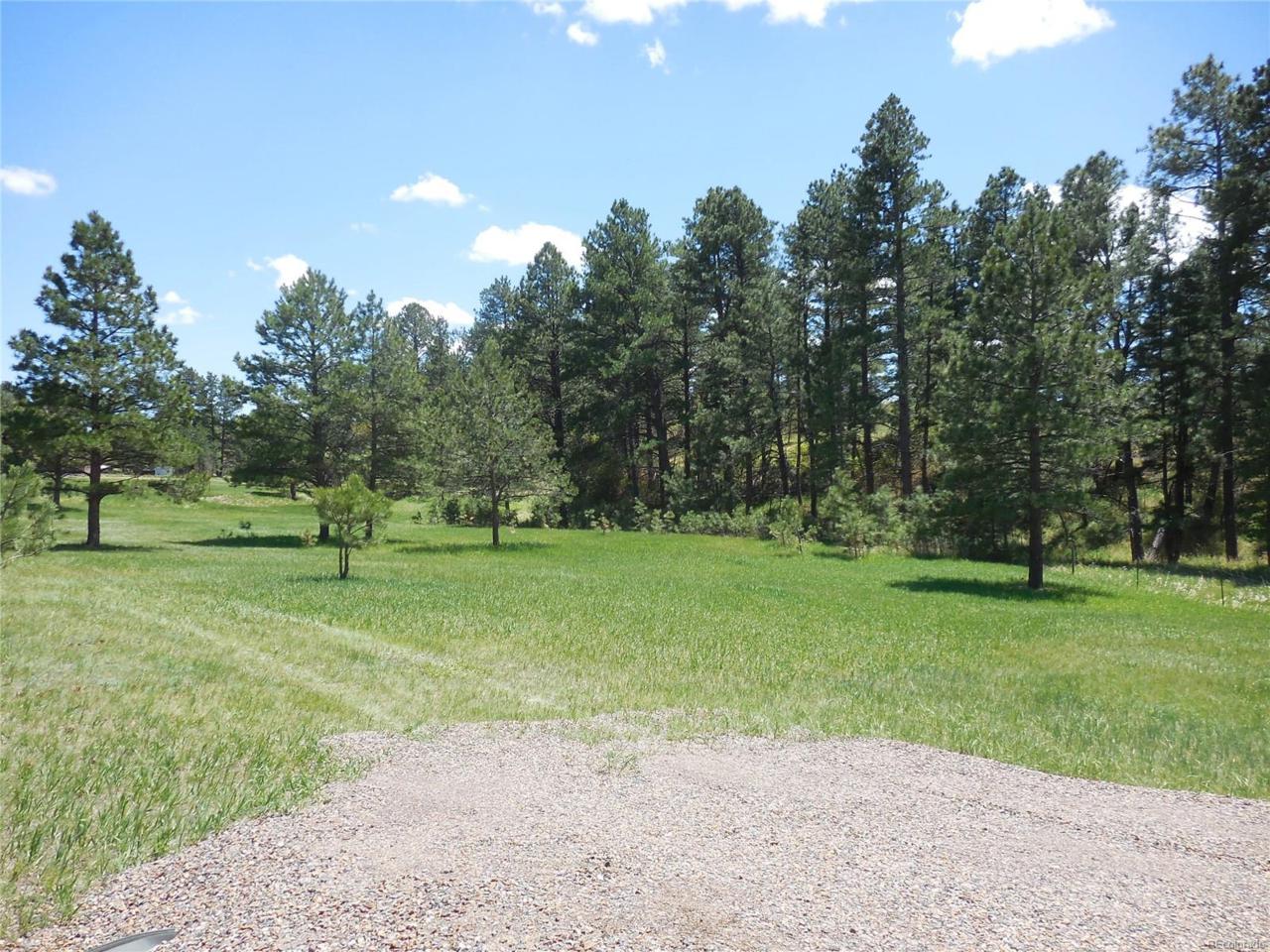 11790 Huckleberry Drive - Photo 1