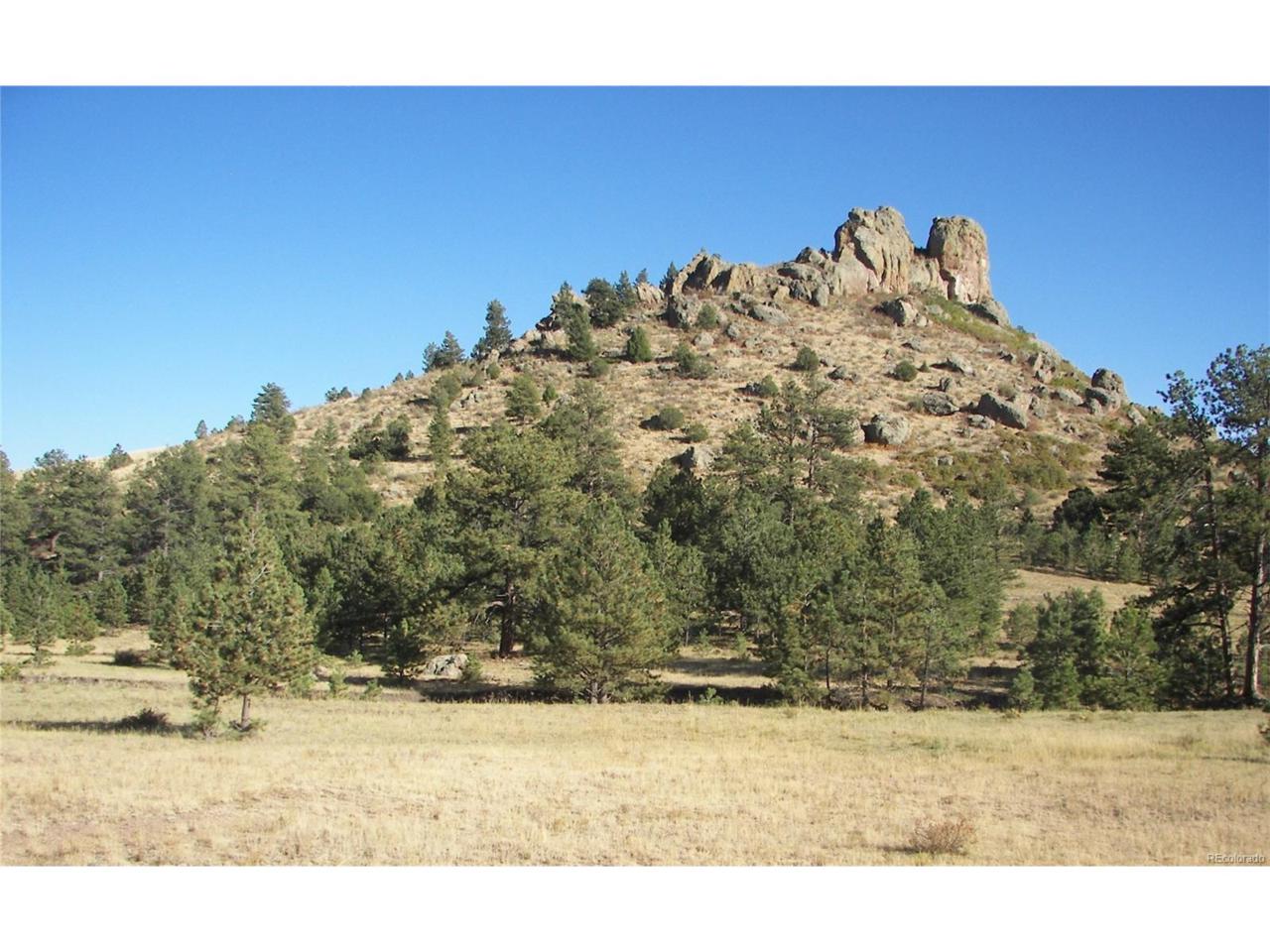 000 T Bar Trail - Photo 1